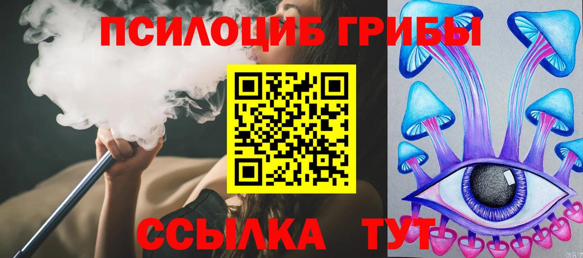 Псилоцибиновые грибы Psilocybine cubensis  Вход с VPN  Ликино-Дулёво 